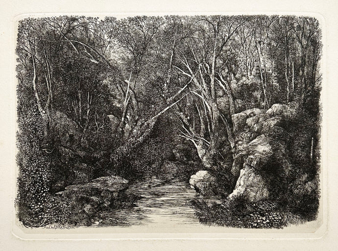 Rodolphe BRESDIN Le ruisseau sous bois.  1880. Gravure originale. 