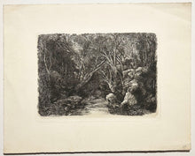 Charger l&#39;image dans la galerie, Le ruisseau sous bois.  1880.
