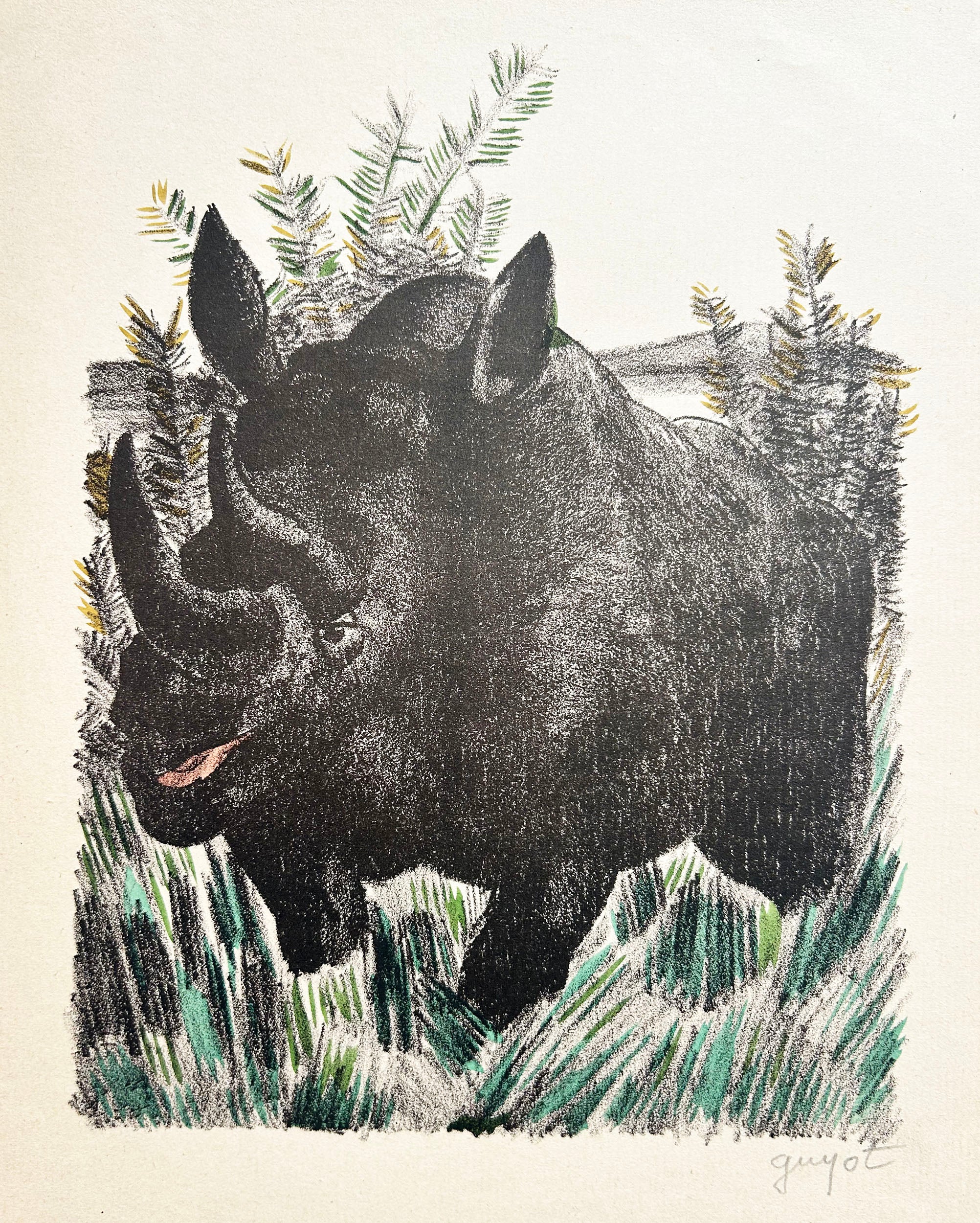 Georges GUYOT [Le rhinocéros].  1946. Lithographie en couleurs, signée par l'artiste. 