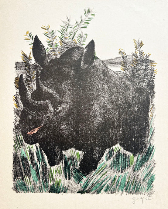 Georges GUYOT [Le rhinocéros].  1946. Lithographie en couleurs, signée par l'artiste. 