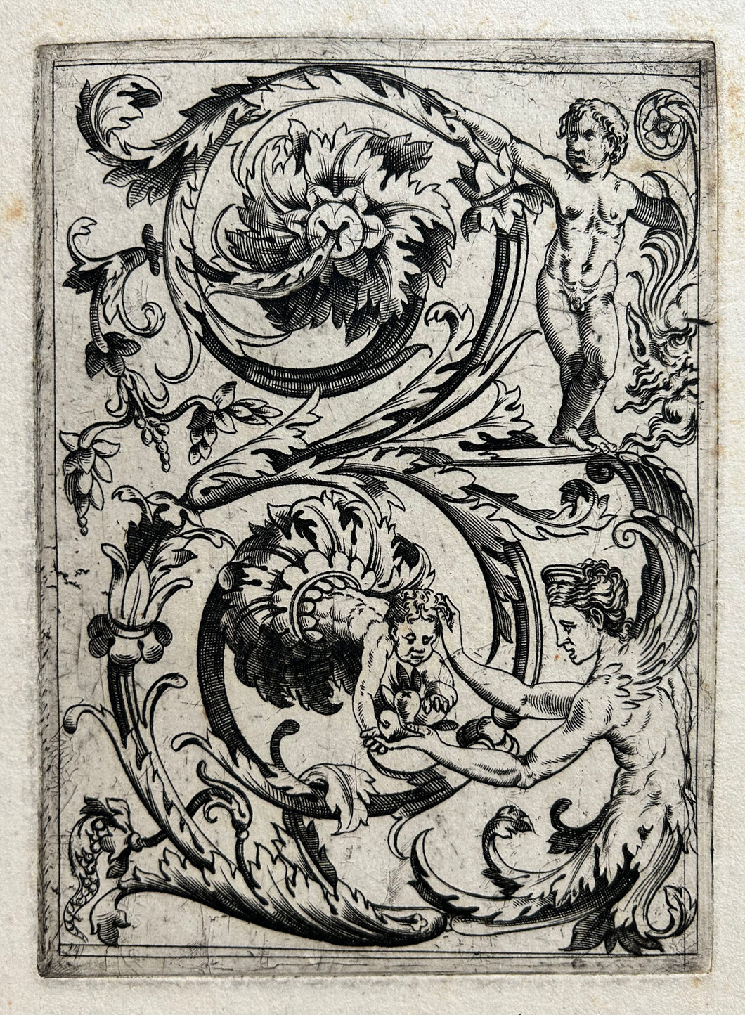 Ecole de Raimondi. Acanthus ornement. Burin. 
