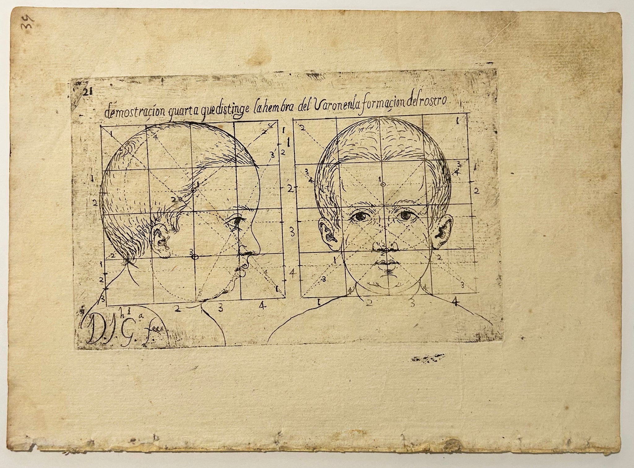 Têtes d'enfant. Deux schémas, profil et face (Cabezas. De nino. Dos esquemas, perfil y frente). 