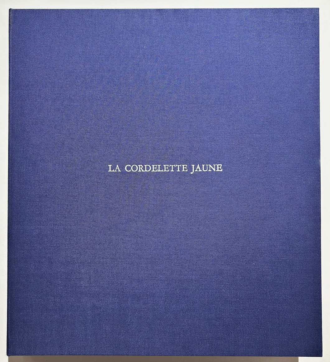 Nathalie GRALL La cordelette jaune. 2004.