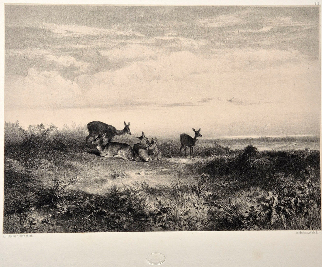 Les Biches. 1854.