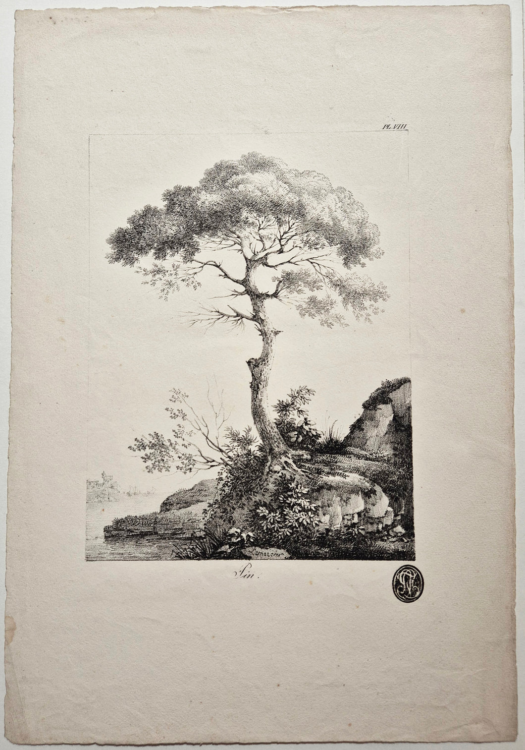 Pin. 1820.