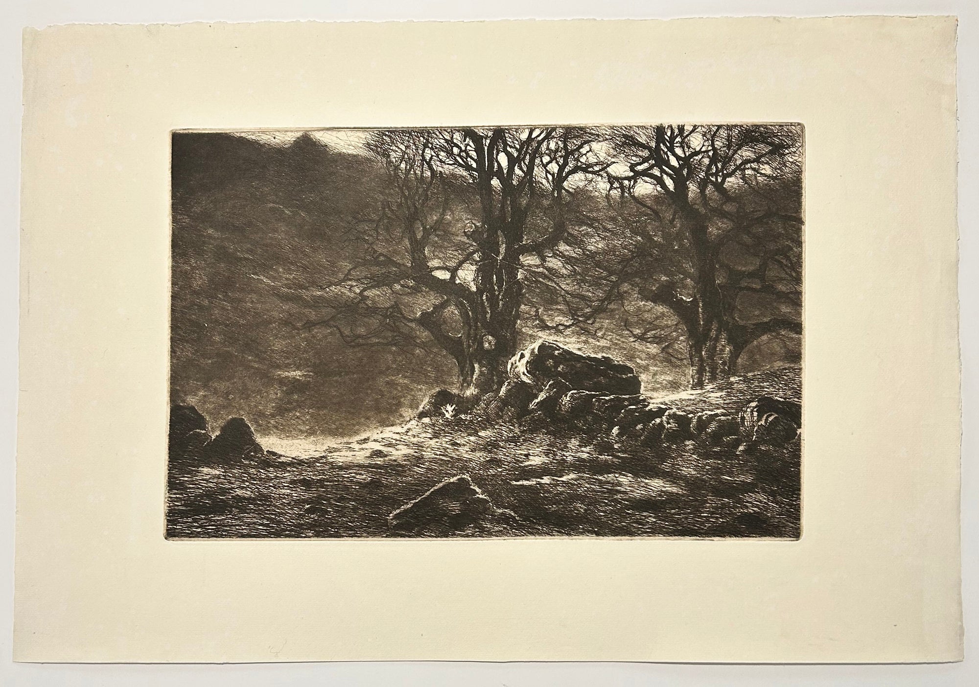Eugène VIALA - Crépusculaire. 1903-1904. Gravure originale. 
