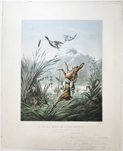 Charger l&#39;image dans la galerie, Un lièvre en son gîte songeait &amp; …Il s&#39;en alla passer sur le bord d&#39;un étang.  c.1866.
