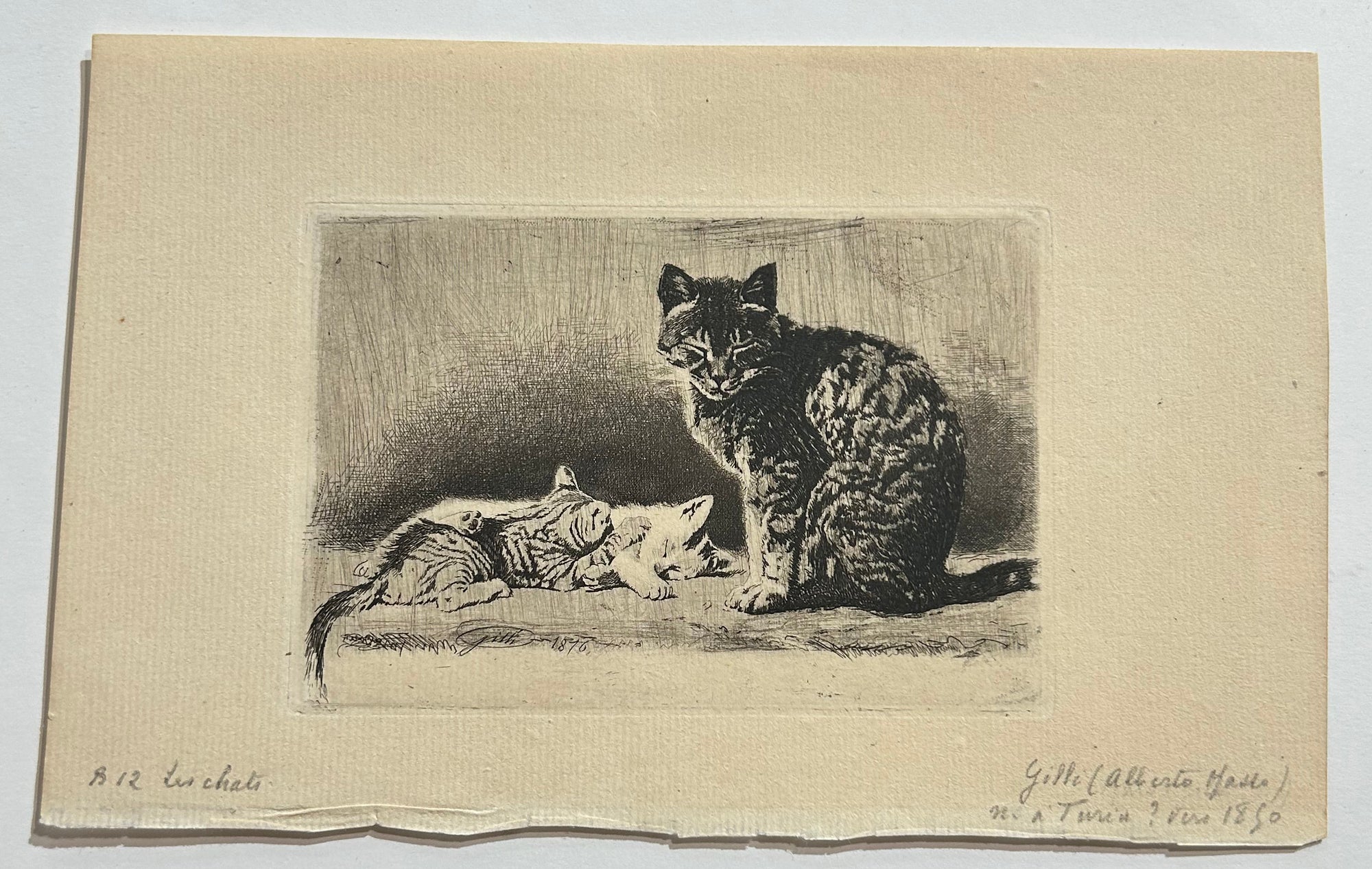 Alberto Maso GILLI - Mère chat et ses chatons. 1876. Gravure originale. 