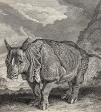 Charger l&#39;image dans la galerie, Le Rhinocéros &quot;Miss Clara&quot;. Nashorn Rhinoceros. &quot;Anno 1748 im Monath May und Junio ist dises Nashorn Rhinoceros&quot;.  1748.
