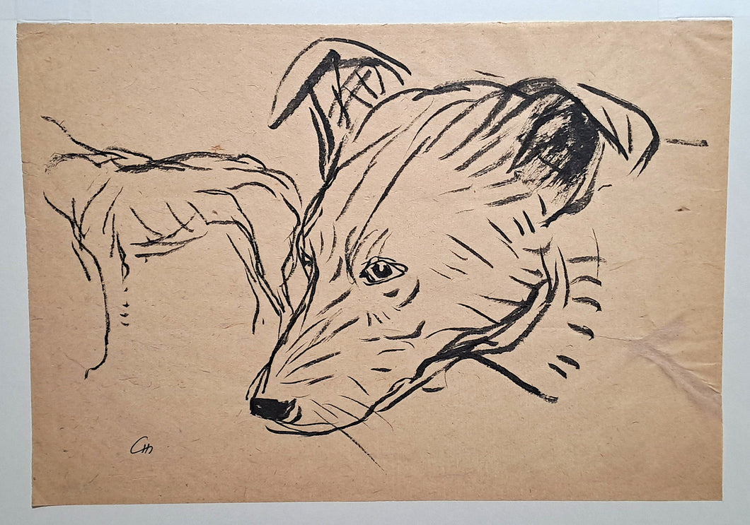 [Chien].
