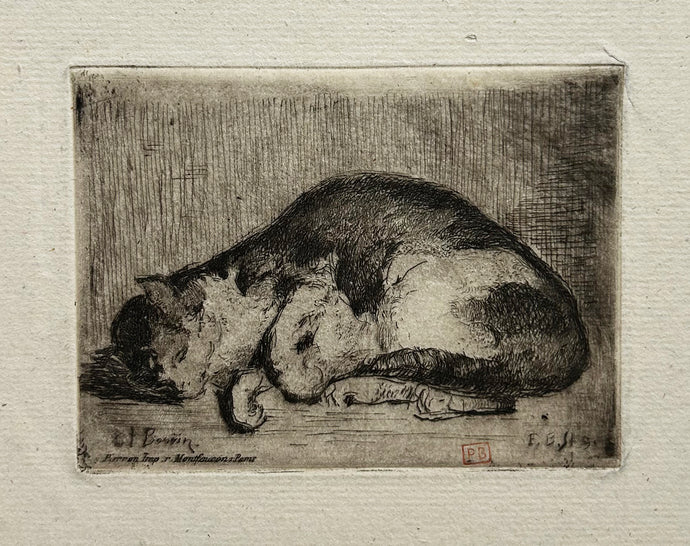 François BONVIN - Chat dormant. 1849. Gravure originale. 