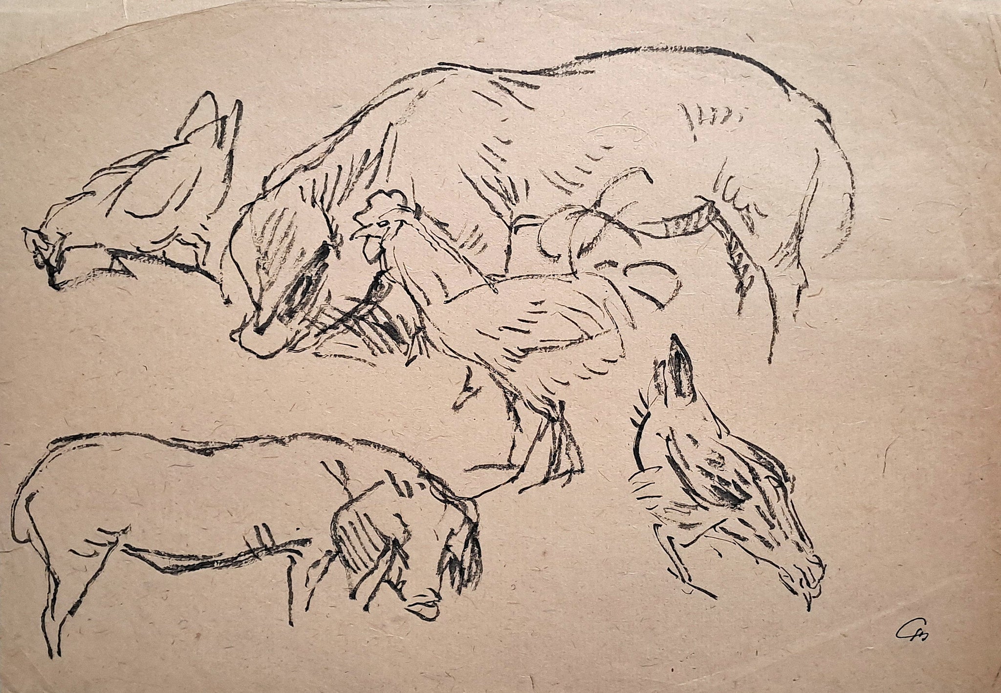 [Coq, poules, cochons].