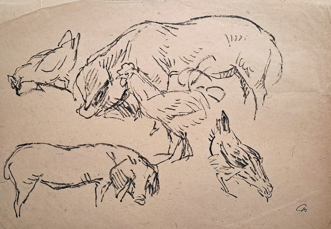 [Coq, poules, cochons].