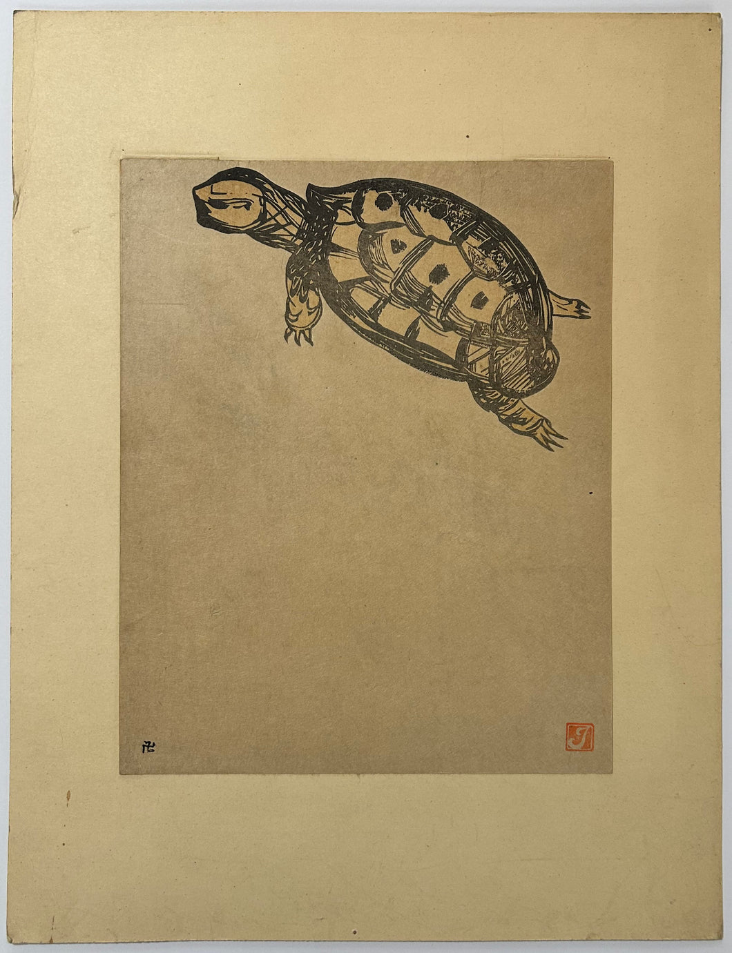 [Tortue].  1908-1912.