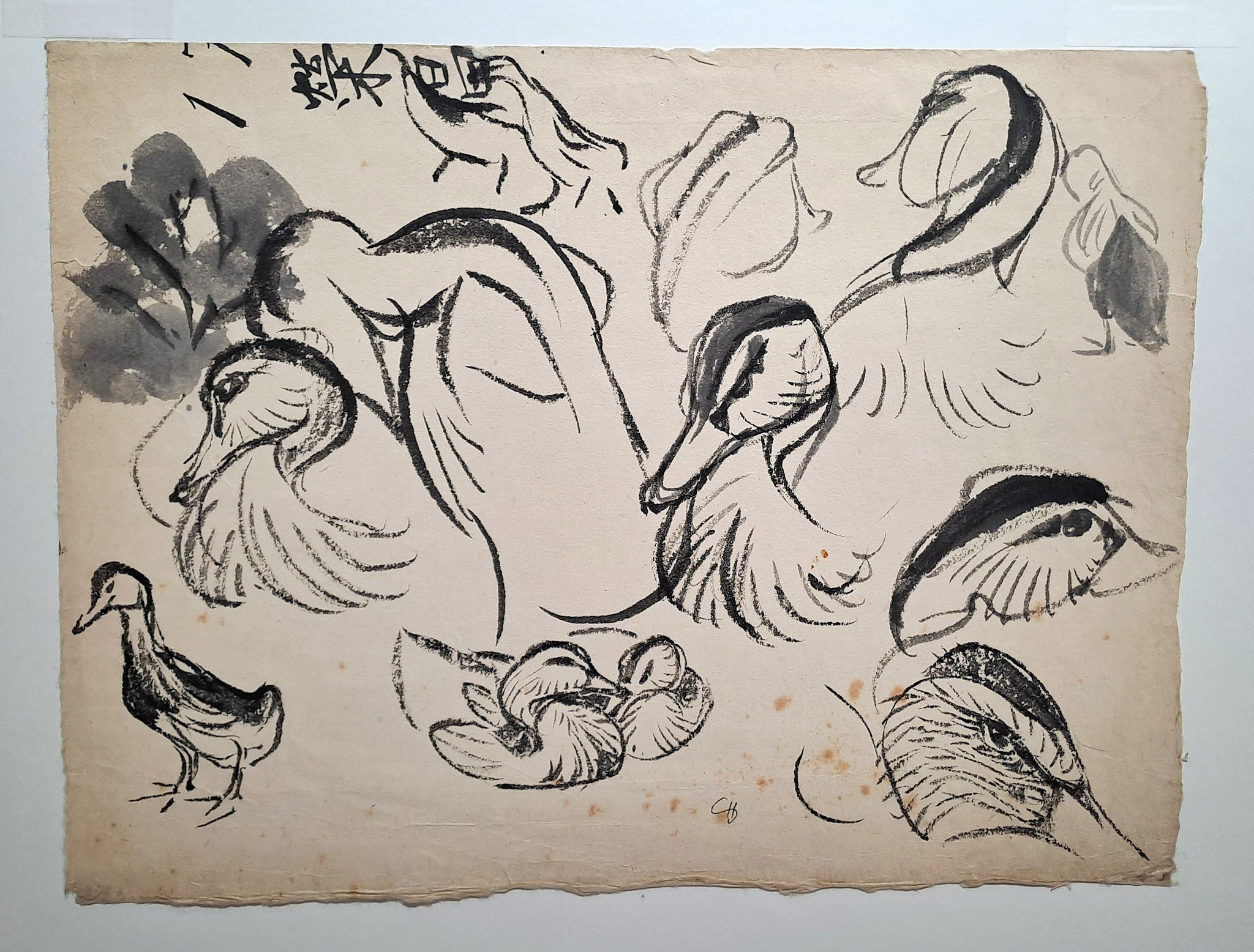 [Etudes de canards avec idéogrammes].