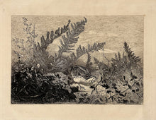Charger l'image dans la galerie, [Un faisan dans les herbes].  1888.
