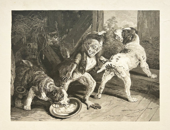 D'après Sir Edwin LANDSEER -Les chiens intrus (The Intruding Puppies). Gravure. 