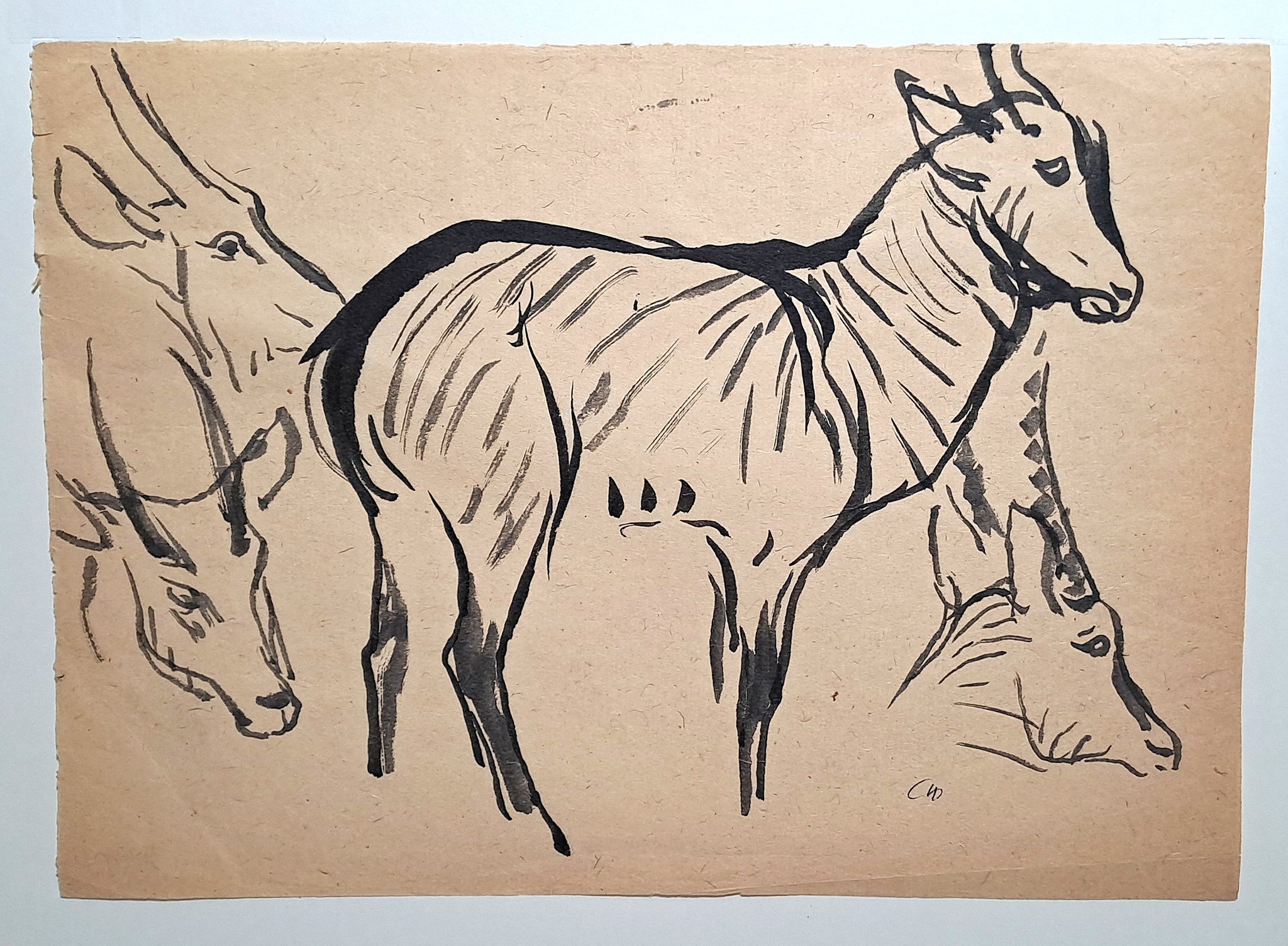 [Etudes de gazelles et oryx].