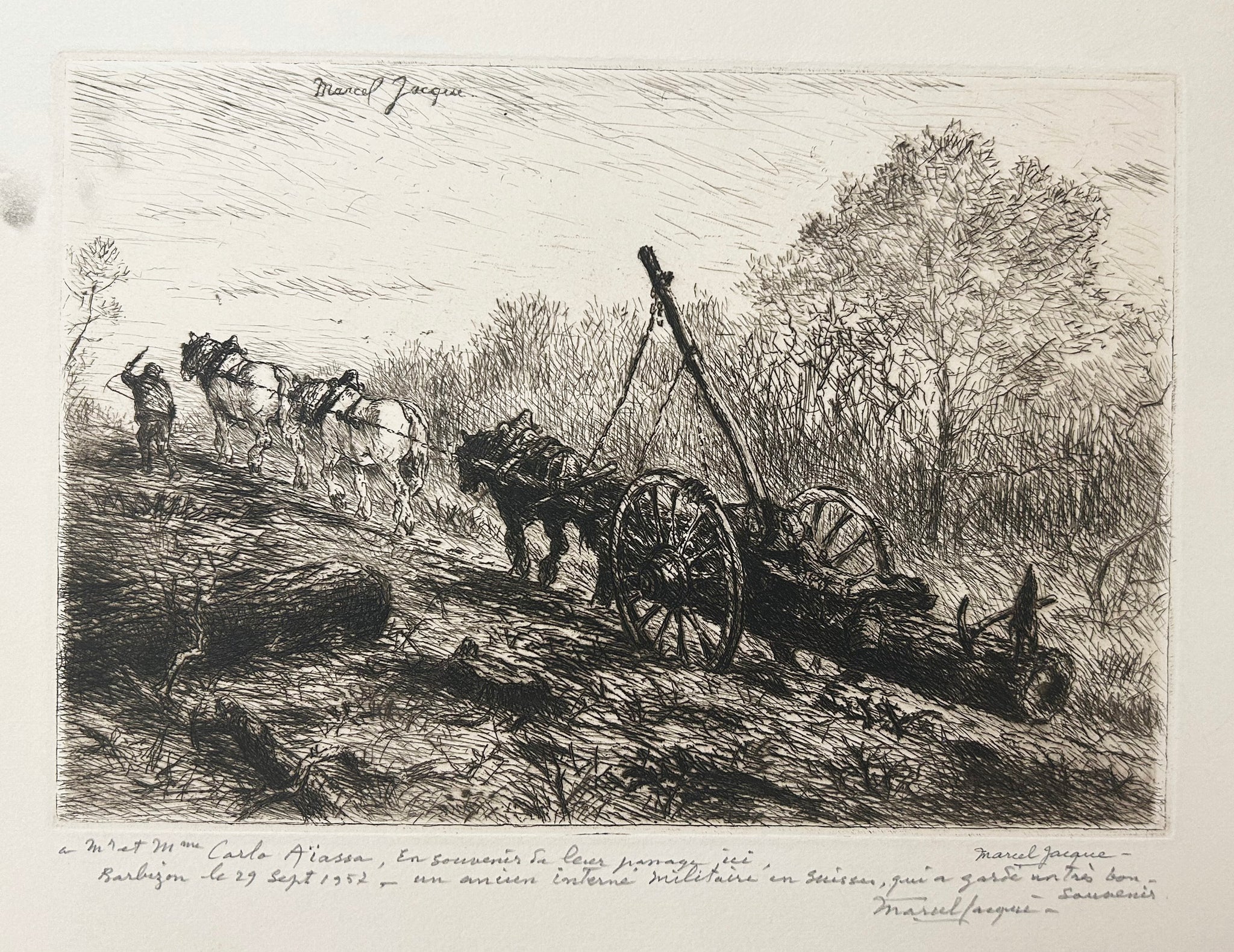 [Attelage en forêt].  c.1950.