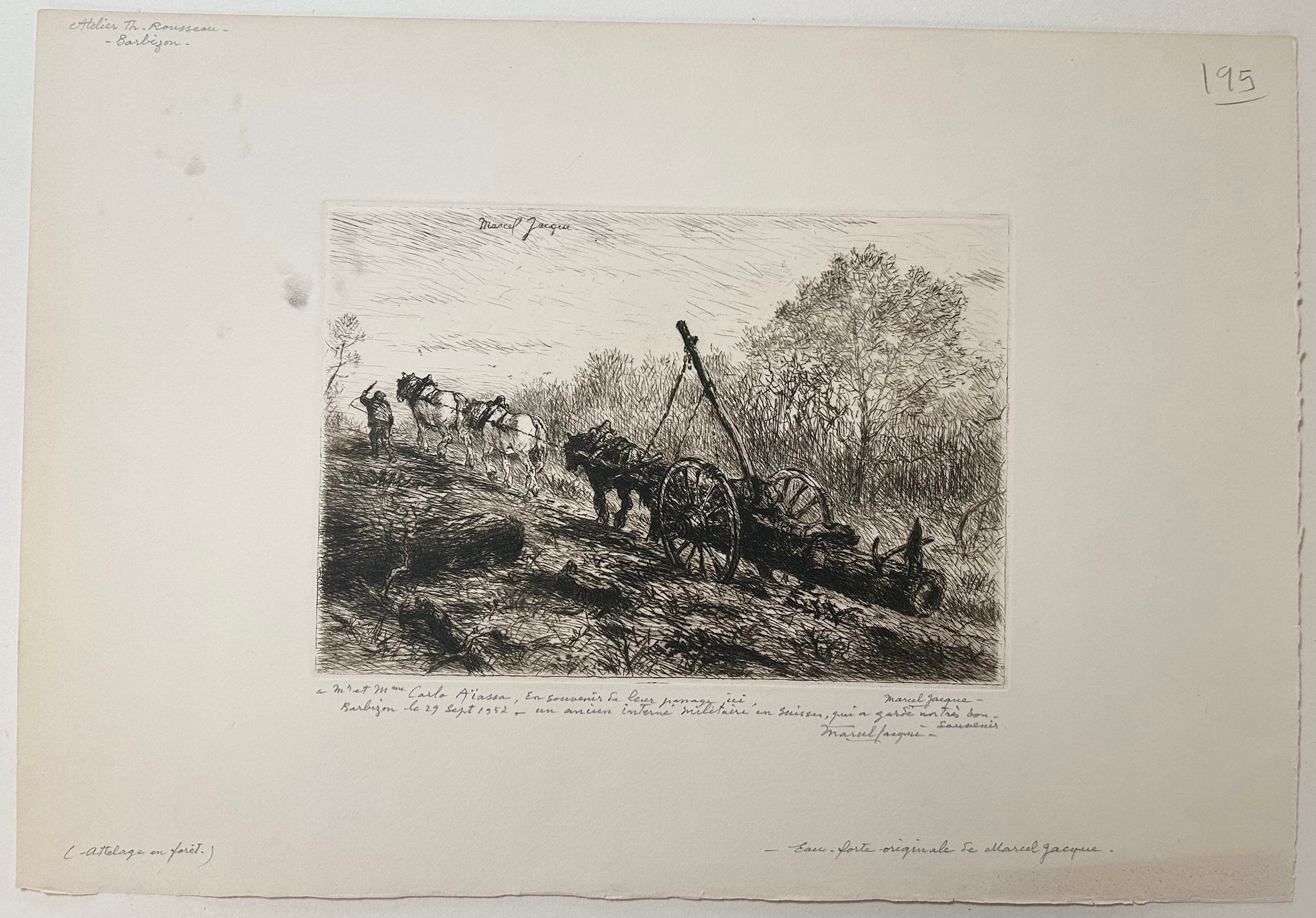 [Attelage en forêt].  c.1950.