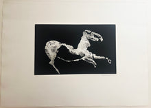 Charger l&#39;image dans la galerie, Cavallino (Cheval).  1974.
