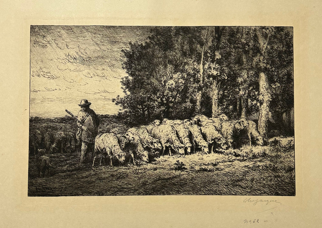 Troupeau de moutons à l'orée d'un bois. 1877.