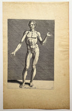 Charger l&#39;image dans la galerie, Nu masculin de face.  1589.
