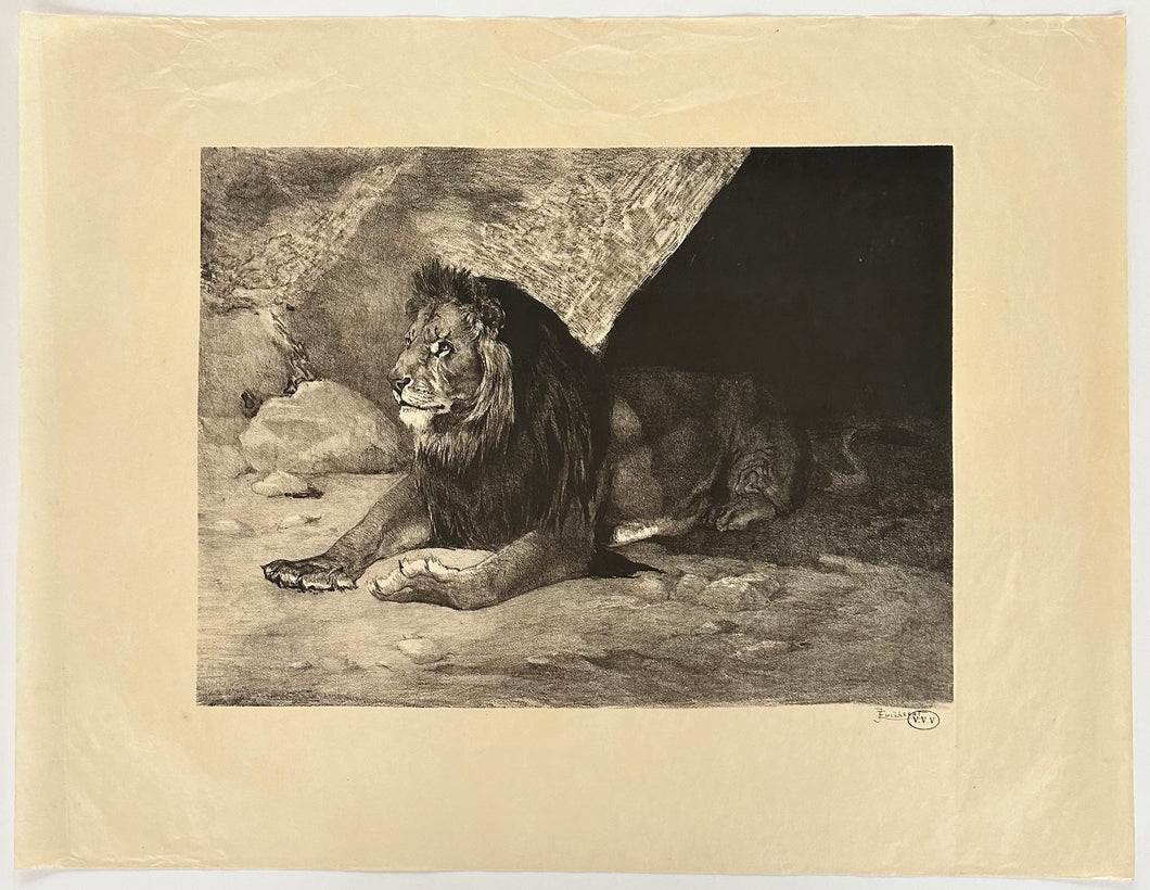 [Lion au repos].