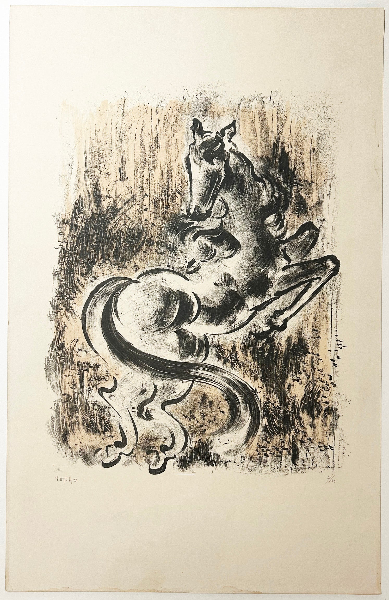 [Cheval se cabrant].