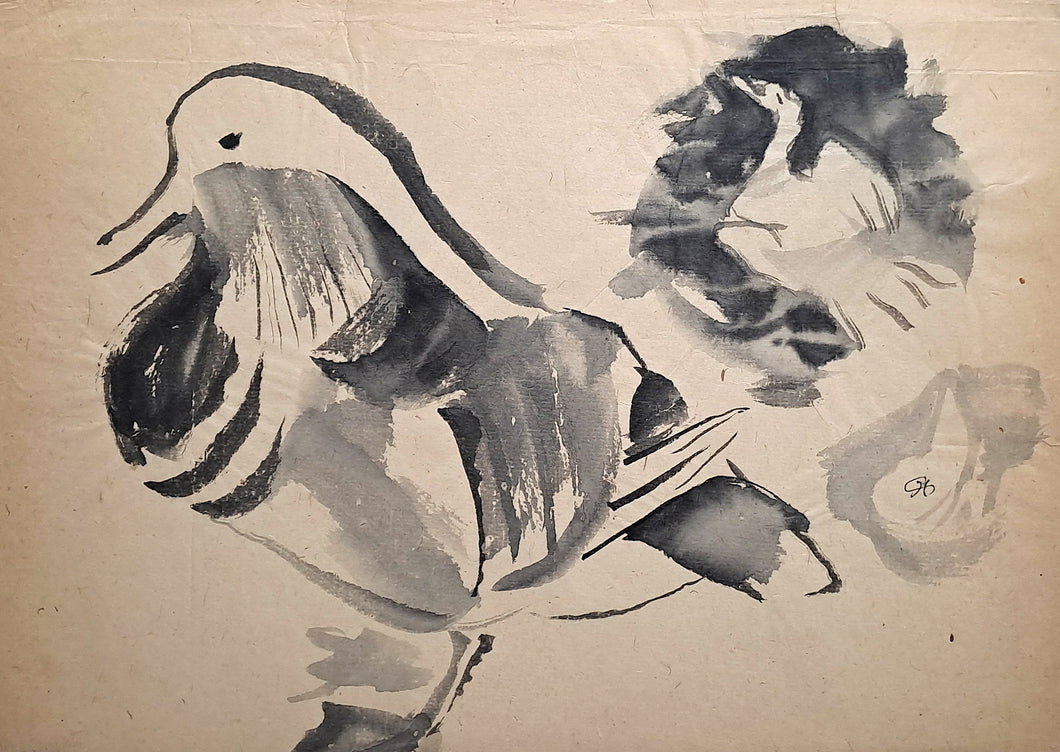 [Etudes de canard].