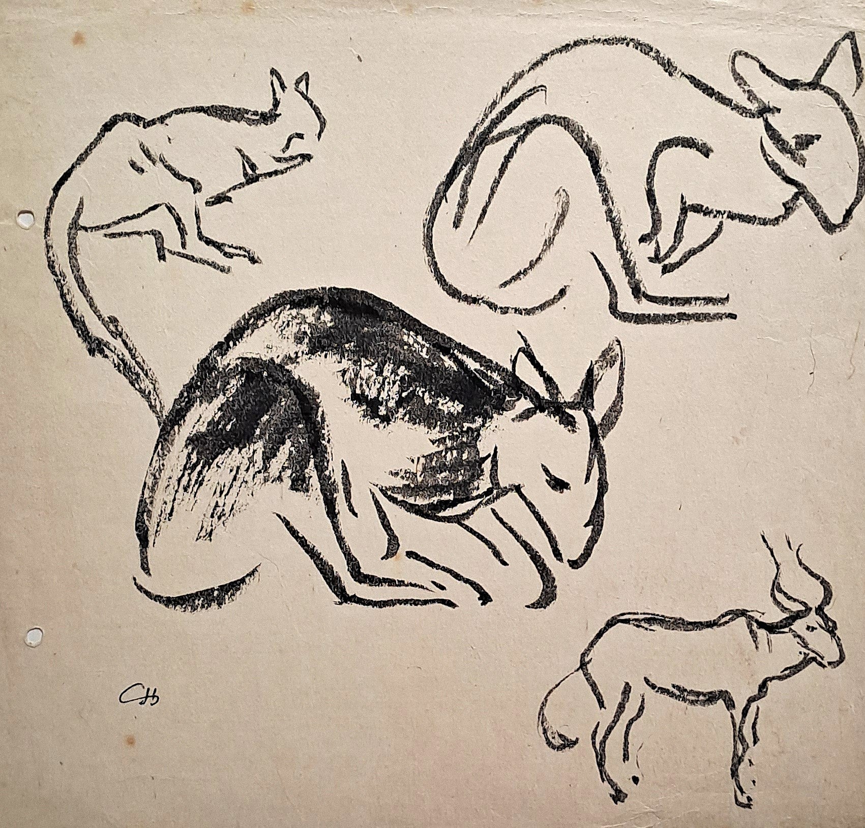 [Etudes de kangourous et oryx].