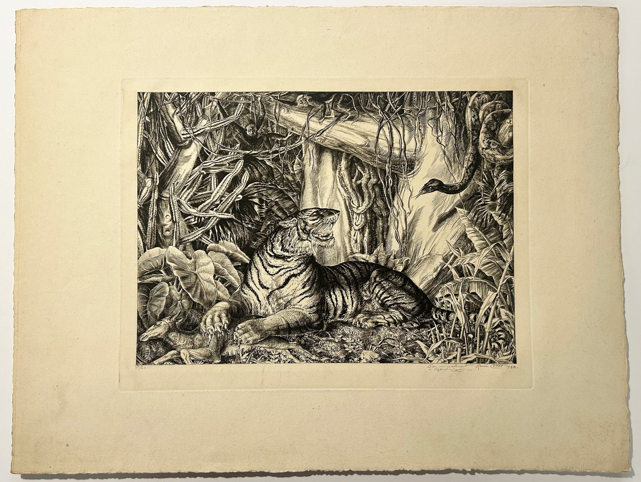 Dans la jungle. 1933.
