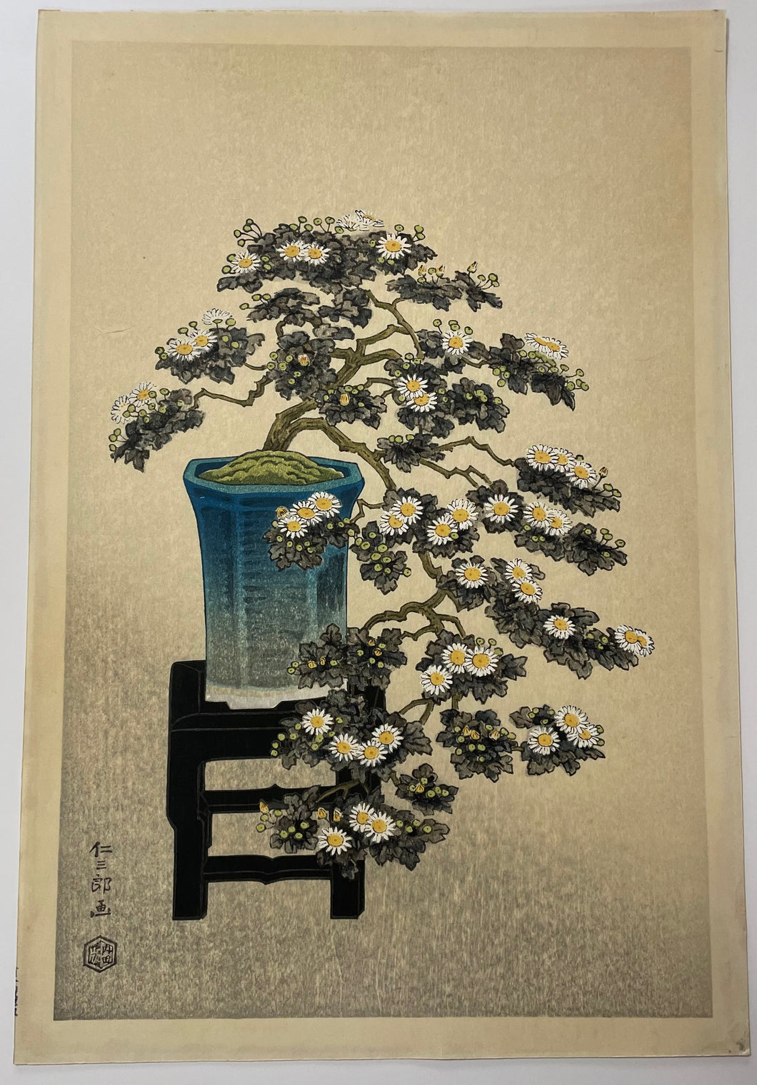 Chrysanthème en pot, Bonsaï.  c.1950.