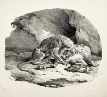 Charger l&#39;image dans la galerie, Théodore GERICAULT Cheval dévoré par un lion.  1823. Lithographie. 
