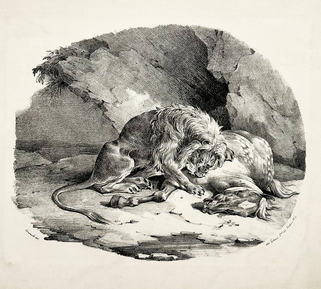 Théodore GERICAULT Cheval dévoré par un lion.  1823. Lithographie. 