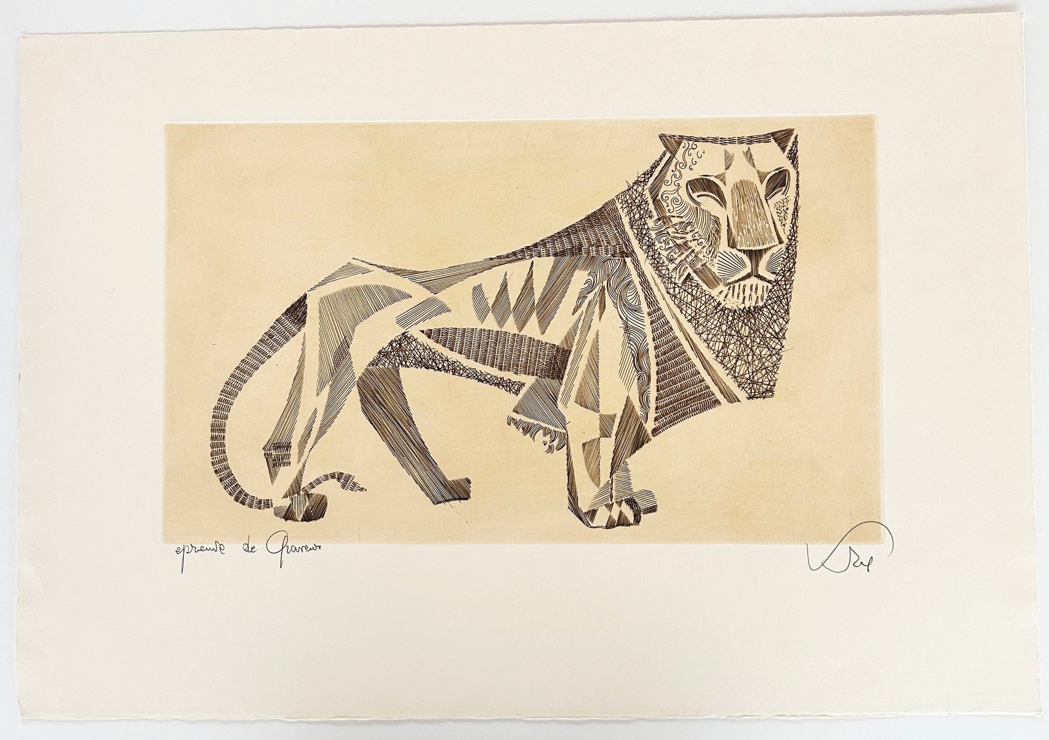 [Lion].  c.1960.