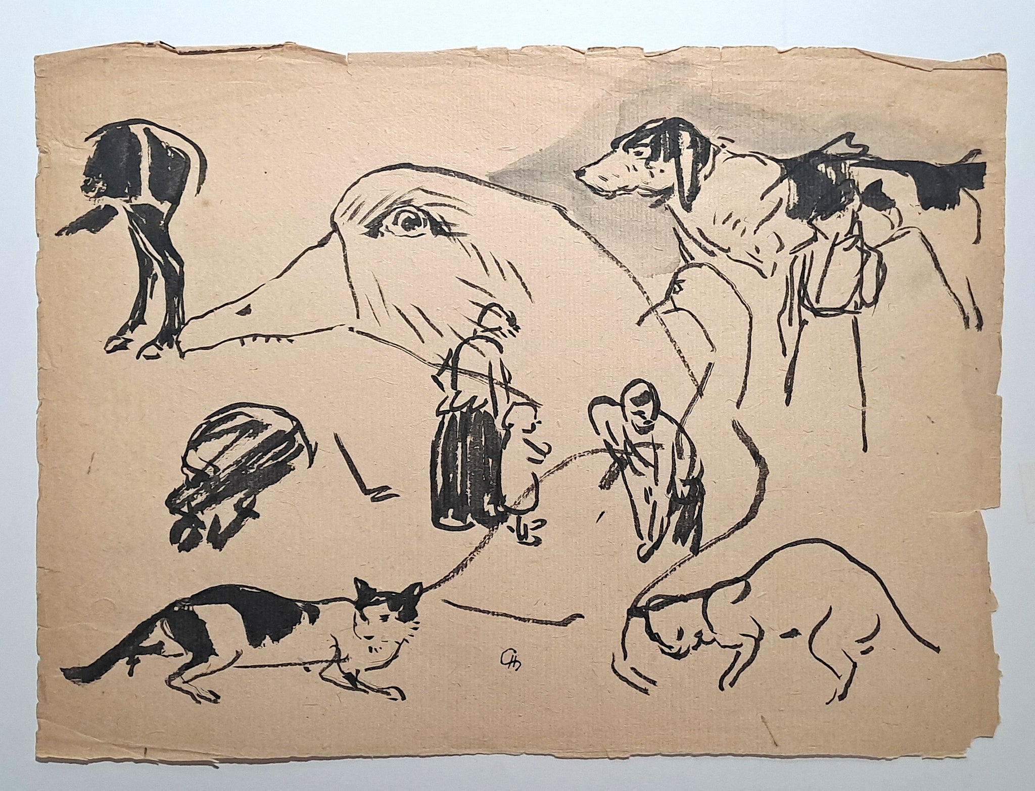 Jules CHADEL [Etudes d'oies, chats et chien]. Dessin original.