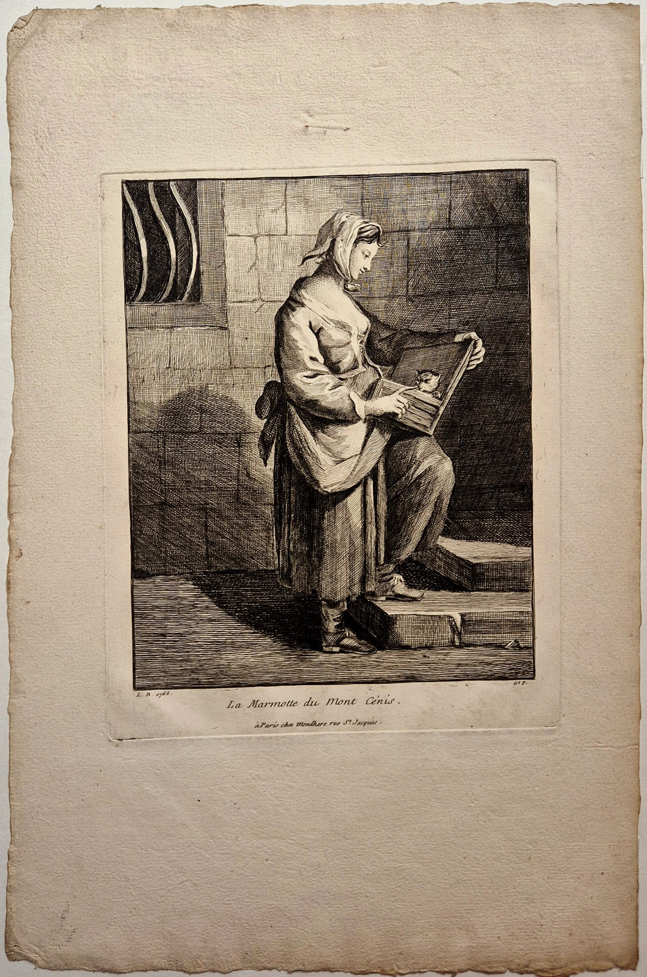 La marmotte du Mont Cénis. 1765.