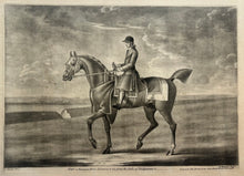Charger l&#39;image dans la galerie, Richard HOUSTON - Star, a running horse belonging to his grace the Duke of Bridgewater. c.1750. Manière noire d&#39;après James Seymour.

