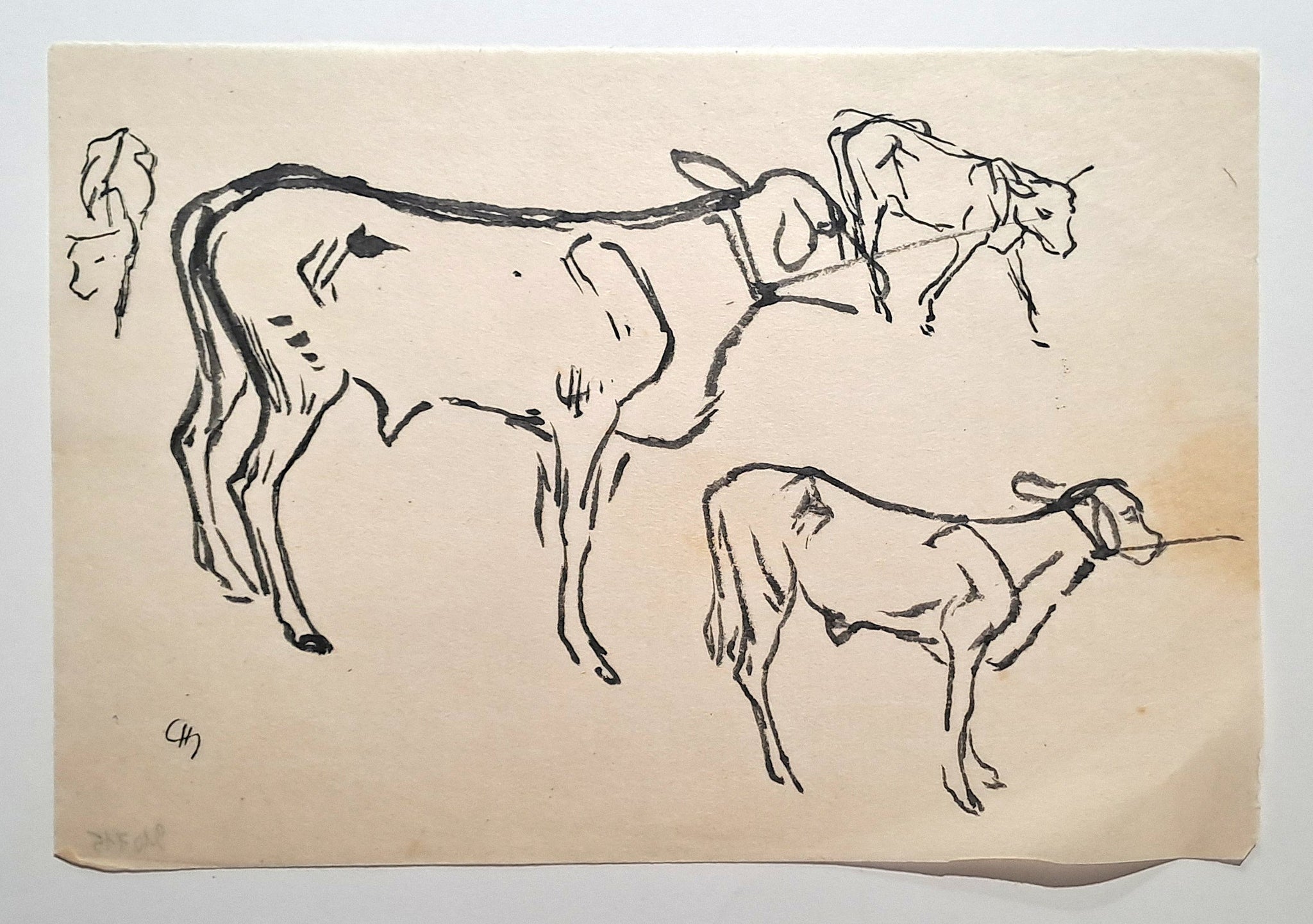 Jules CHADEL [Etudes de veau en laisse]. Dessin original. 