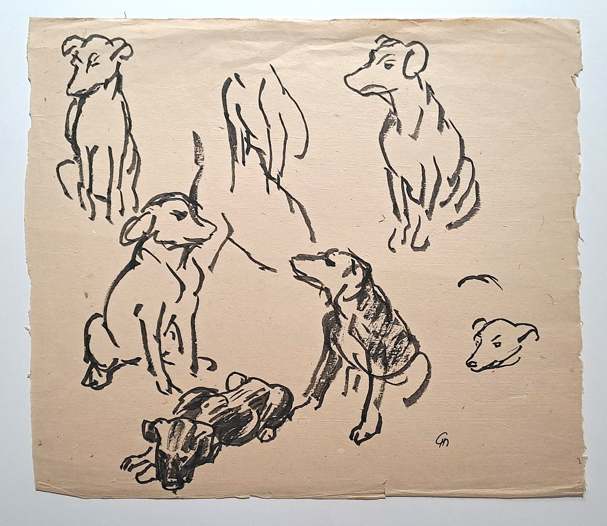 Jules CHADEL [Etudes de chien]. Dessin original. 