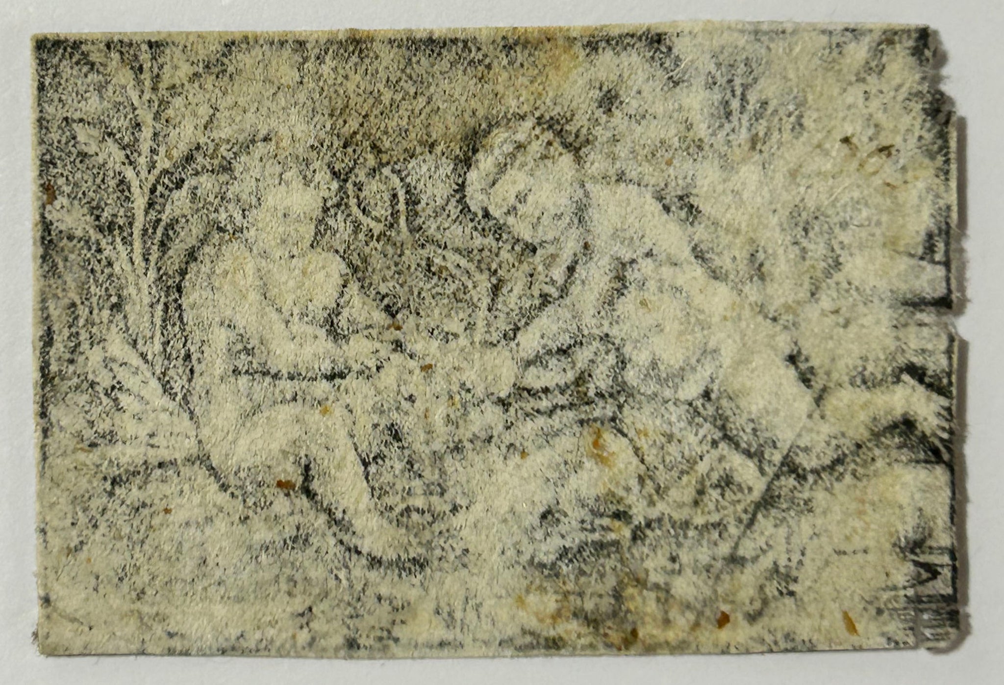 [Deux enfants nus avec un chien].