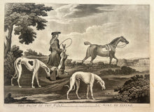 Charger l&#39;image dans la galerie, Thomas BURFORD (d&#39;après) - The death of the hare. La mort de lièvre.  1757. Manière noire.
