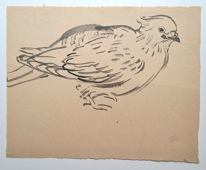 Jules CHADEL [Poule faisane]. Dessin original. 