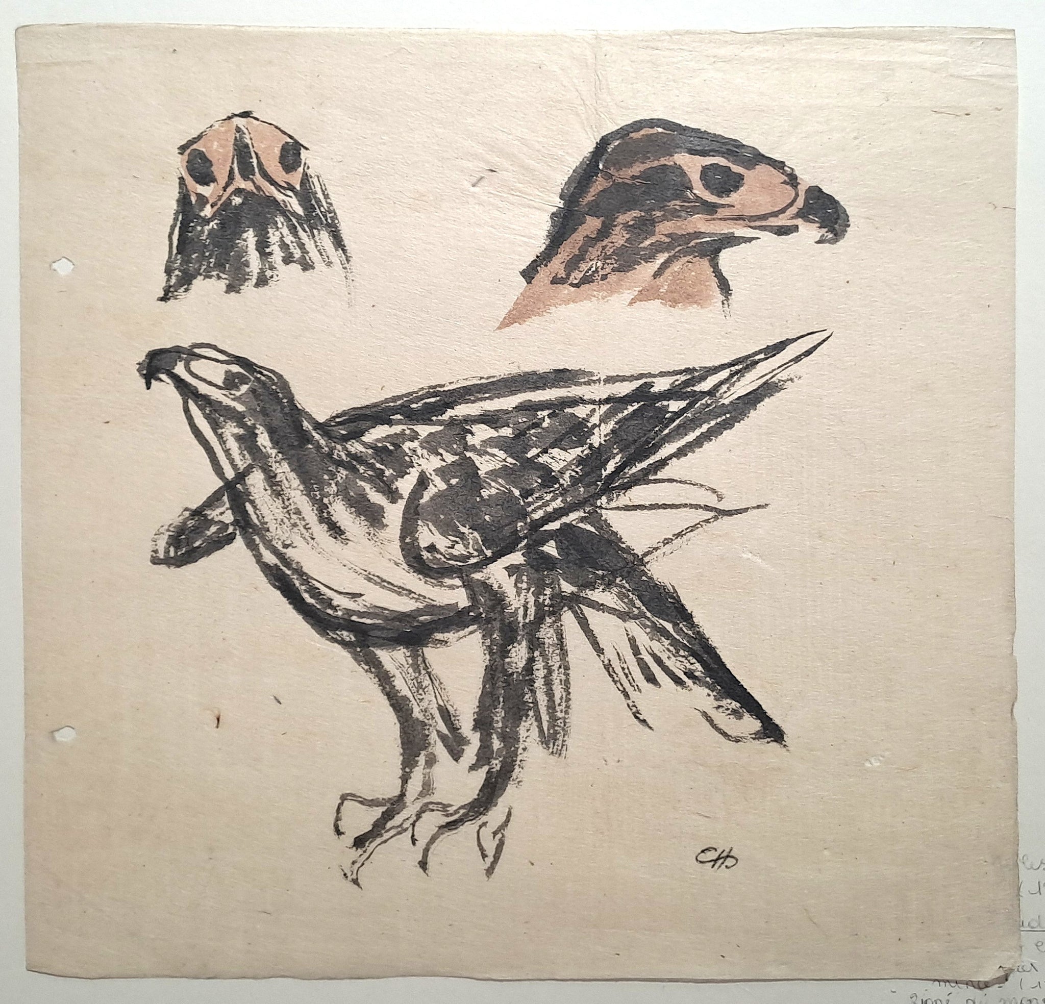 Jules CHADEL [Etudes de rapace]. Dessin original.