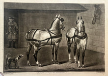Charger l&#39;image dans la galerie, Thomas BURFORD - [Deux chevaux gris pommelé]. c.1750-1760. Manière noire d&#39;après David Morier (Bern c.1705 † Londres 1770). 
