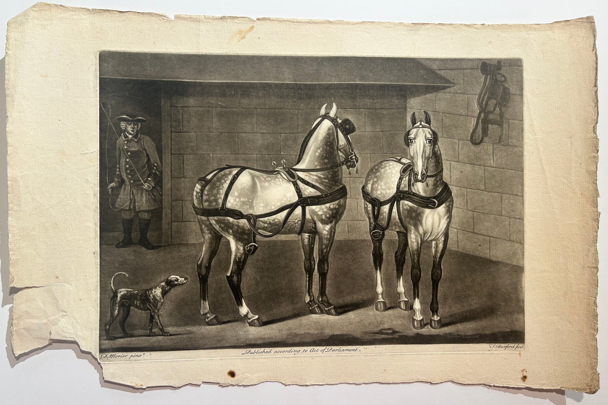 [Deux chevaux gris pommelé]. c.1750-1760.