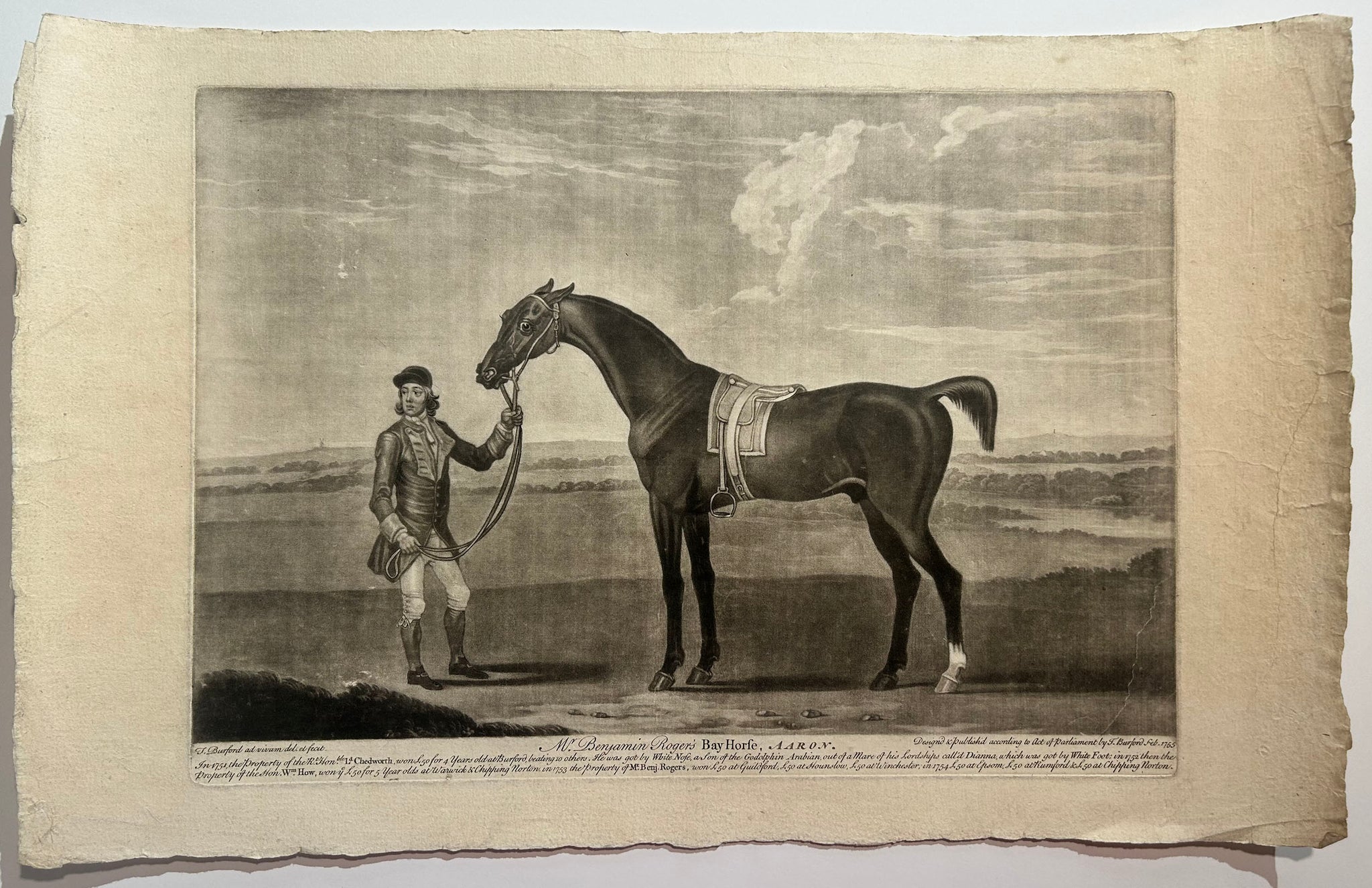 Mr Benjamin Roger's Bay Horse, Aaron.  1755.