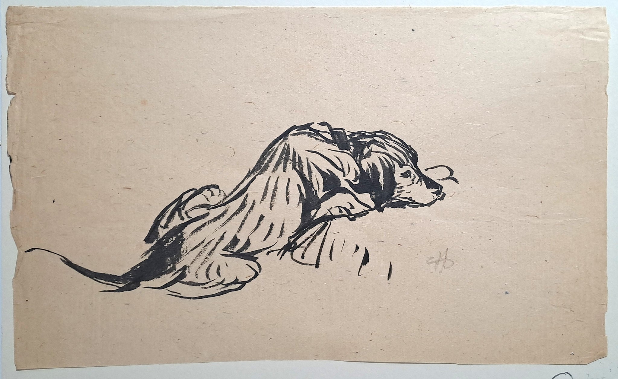 Jules CHADEL [Chien dormant]. Dessin original. 