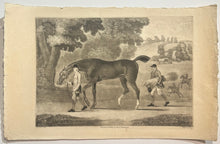 Charger l&#39;image dans la galerie, [Palefrenier menant un cheval noir]. c.1752.

